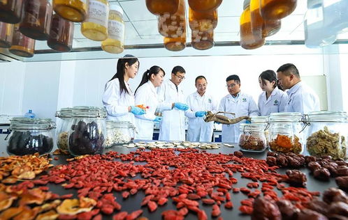 科技賦能，張掖植物工廠(chǎng)助力農(nóng)特產(chǎn)品提質(zhì)增效